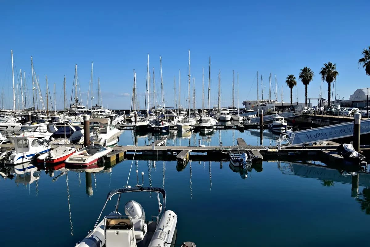 Marina com lanchas e veleiros atracados